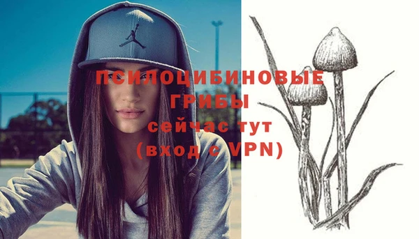 прущая мука Баксан