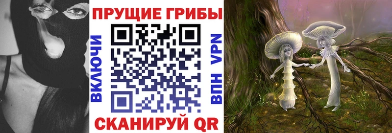 дарнет шоп  Заозёрск  Галлюциногенные грибы Psilocybine cubensis 